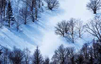 3 روش برای انجام عکاسی سیاه و سفید در زمستان